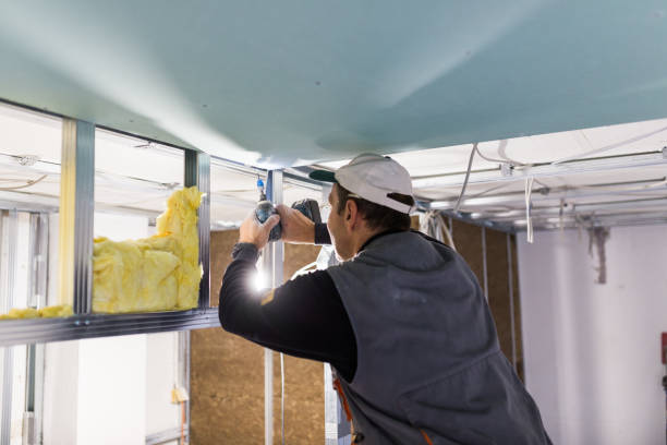Best Geographic-Specific Insulation Services in Chatham, IL