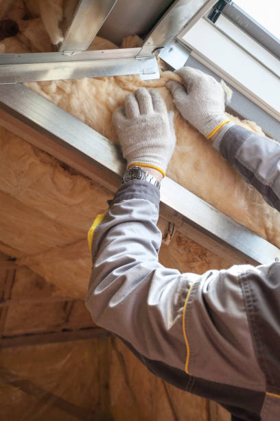 Professional Insulation Contractor in Chatham, IL
